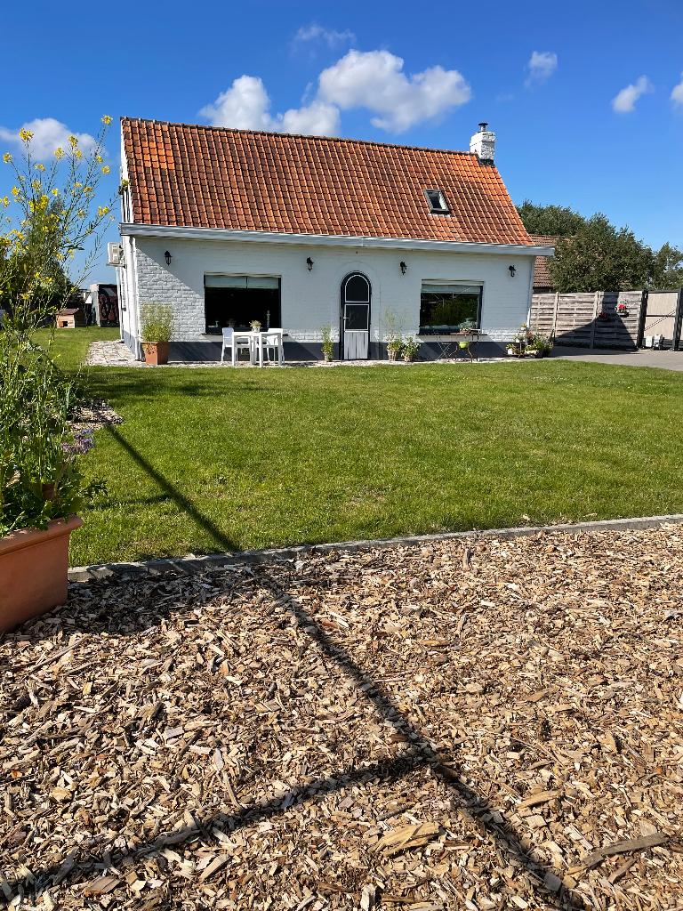 Pottelberg & Sterreberg Stormpan 44, Doe-het-zelf en Bouw, Dakpannen en Dakbedekking, Ophalen, Steen of Klei, Dakpannen, Rood