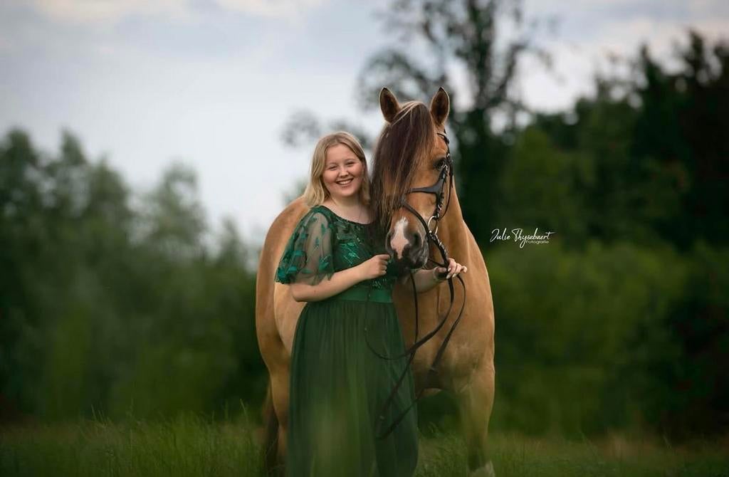 Halve stal gezocht, Animaux & Accessoires, Chevaux, Hongre, Débourré, 160 à 165 cm, Cheval de récréation