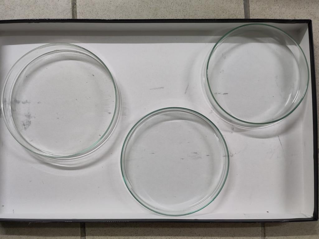 Grandes boîtes de Pétri en verre (19 cm) — lot de trois, Enlèvement