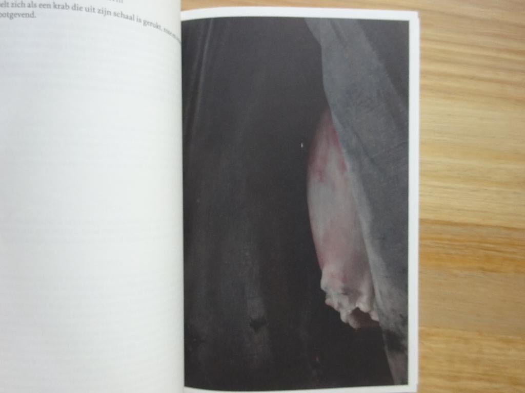 Berlinde De Bruyckere, Allen Vlees, 2012 DWB, Ophalen of Verzenden, Gelezen, Beeldhouwkunst