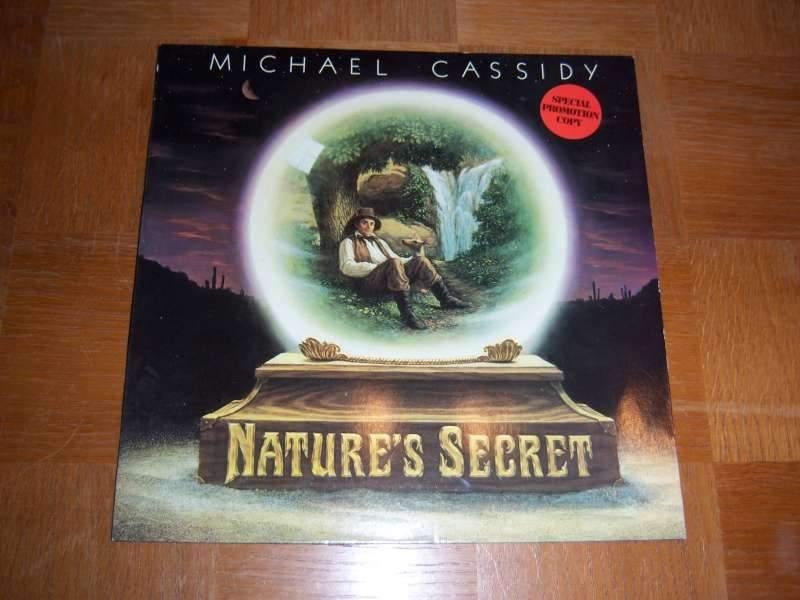Elpee vinyl Nature's Secret / Michael Cassidy, Ophalen of Verzenden, Zo goed als nieuw, 12 inch
