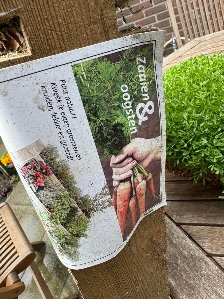 Modèle d'escalier Minigarden, Jardin & Terrasse, Enlèvement ou Envoi