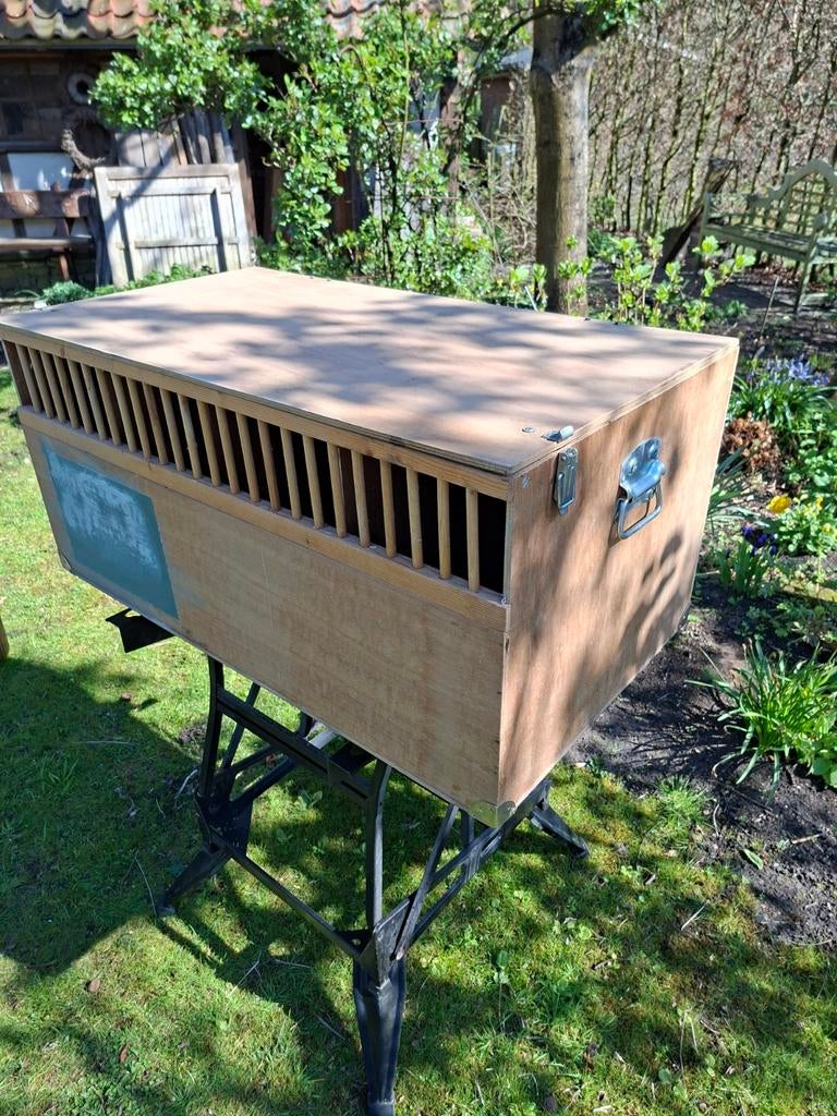 Transportkisten pluimvee.