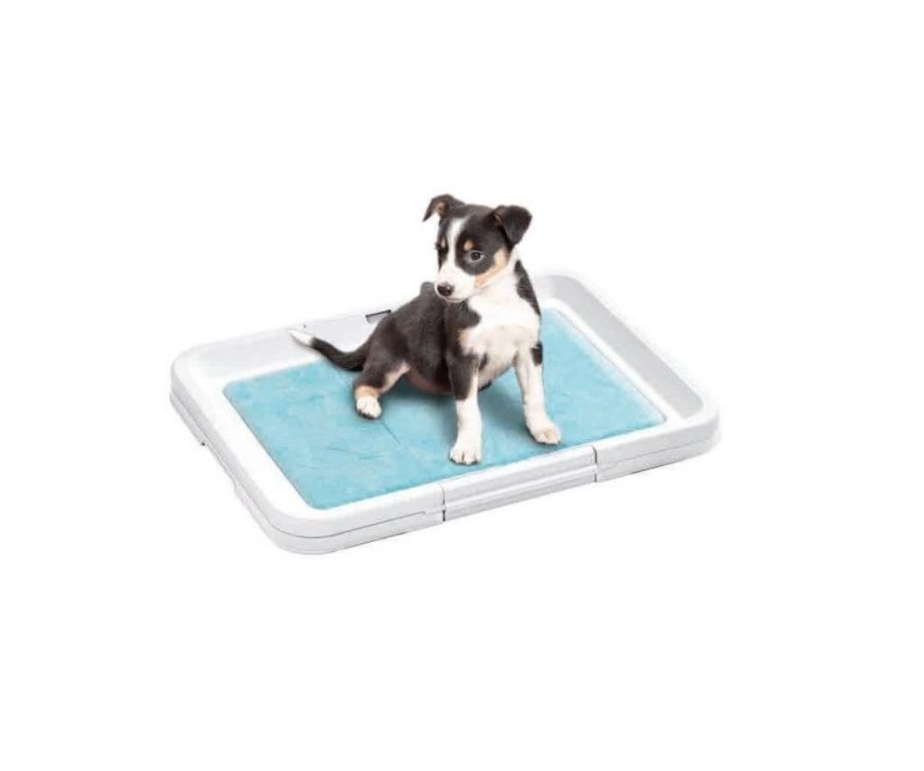 Puppy Trainers Trainingsmatten pads zindelijkheidsmatjes, Dieren en Toebehoren, Ophalen of Verzenden, Nieuw