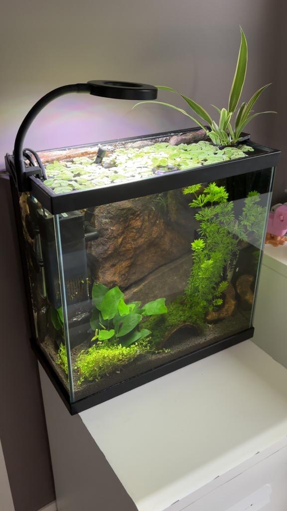 Aquarium, Dieren en Toebehoren, Ophalen, Pomp, Zo goed als nieuw