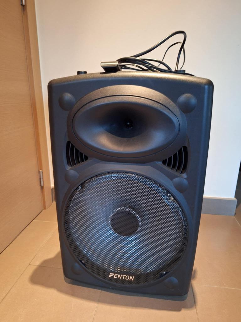 Fenton box FPS15, Audio, Tv en Foto, Luidsprekerboxen, Zo goed als nieuw, 120 watt of meer, Center speaker, Ophalen