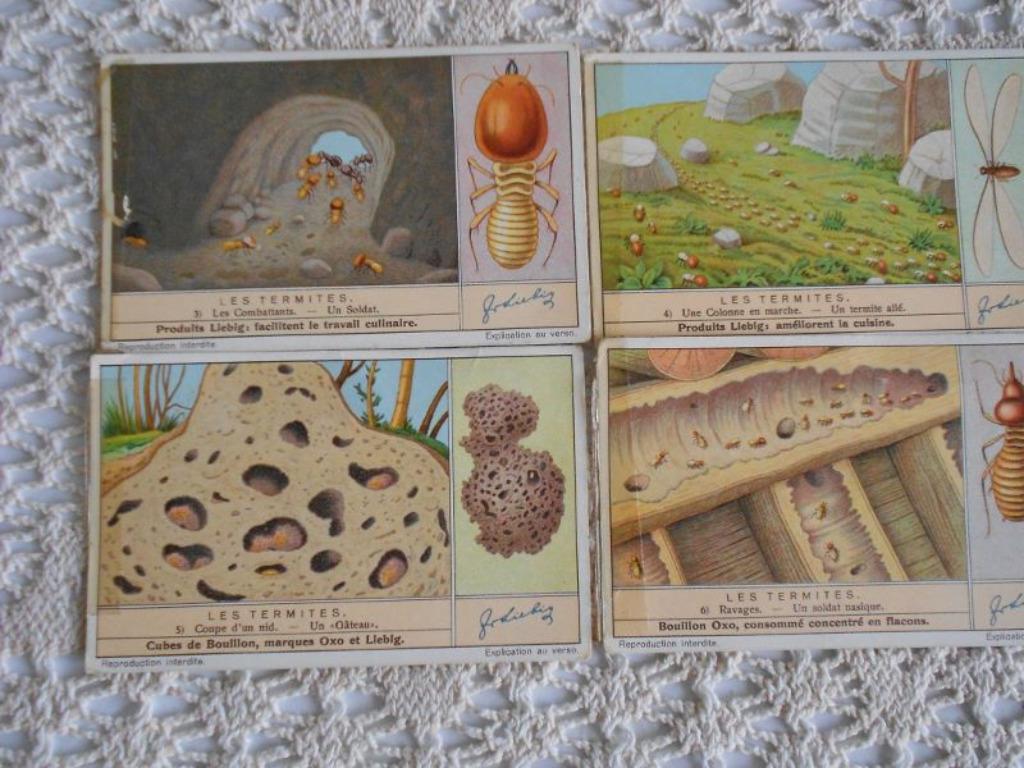 4 chromos Liebig de la série "Les termites"., Collections, Enlèvement ou Envoi, Gravure, Utilisé, 1940 à 1960