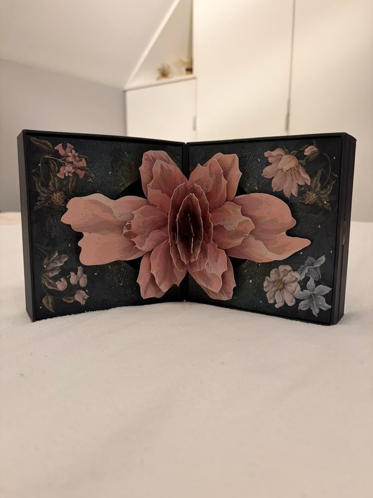 Tomorrowland 2024 doosje & bandje, Verzamelen, Ophalen, Zo goed als nieuw