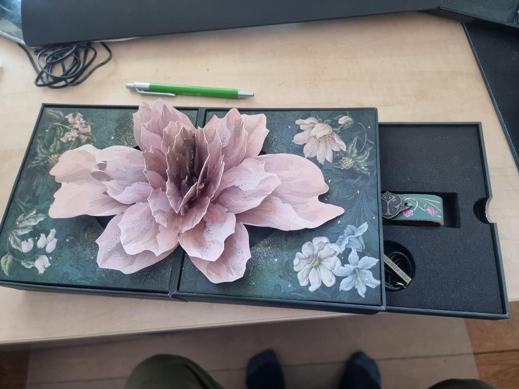 Coffret Tomorrowland 2024, Enlèvement, Comme neuf