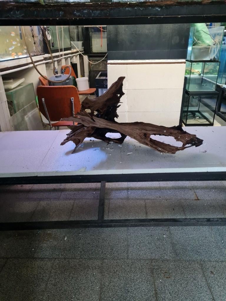 groot stuk  aquarium hout, Ophalen