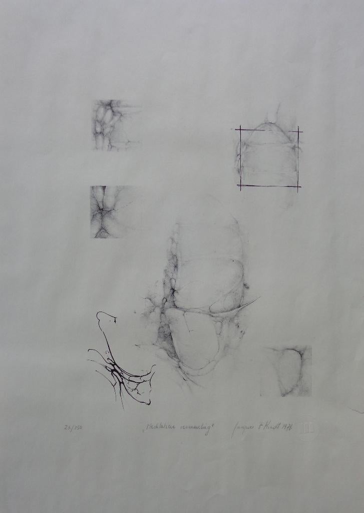 JACQUES 't KINDT / MEDITATIEVE VERZAMELING / LITHO / 70x50cm, Antiquités & Art, Art | Lithographies & Sérigraphies, Enlèvement ou Envoi