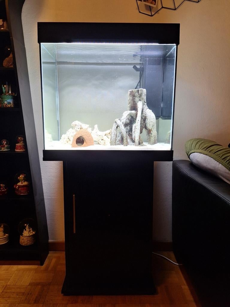 Aquarium Juwel Lido 120, Enlèvement, Pompe, Juwel