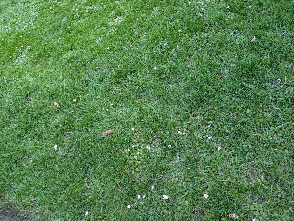 Terre gratuite , à donner jardin pelouse, Enlèvement