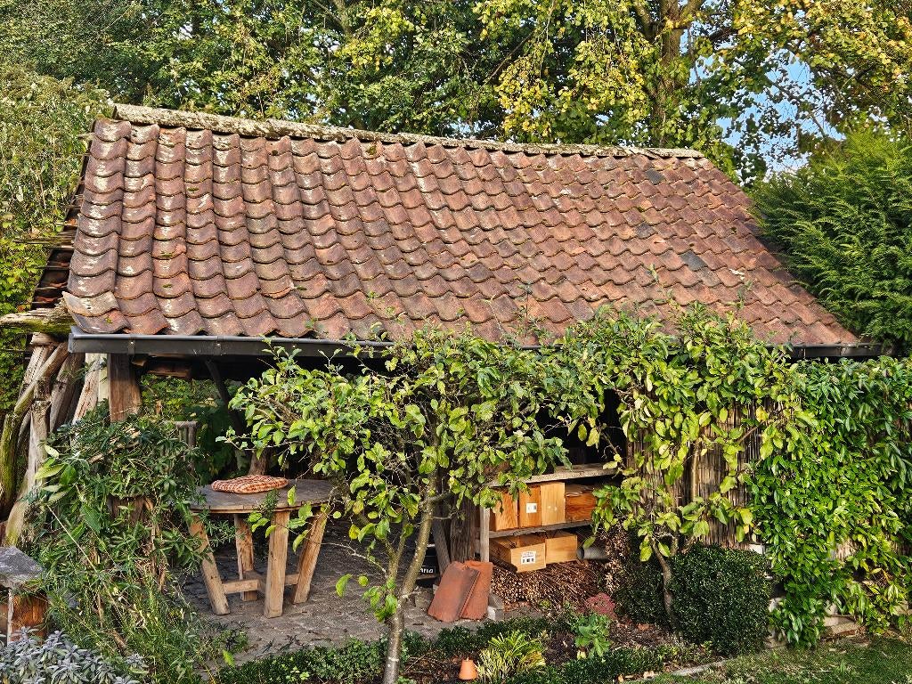 Boomse dakpannen - op te halen in Reet, Ophalen, Gebruikt, Steen of Klei, 15 m² of meer