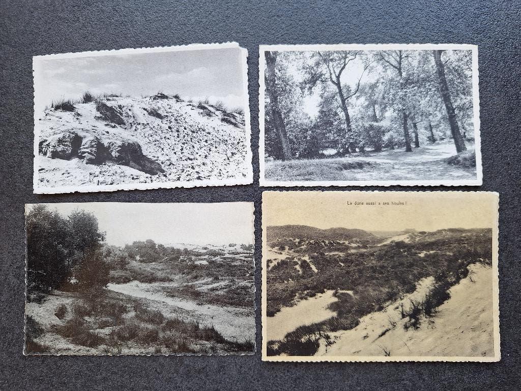 lot 4 CPAS vintage la Panne - les dunes, Collections, Cartes postales | Belgique, Enlèvement, 1940 à 1960, Non affranchie, Flandre Occidentale