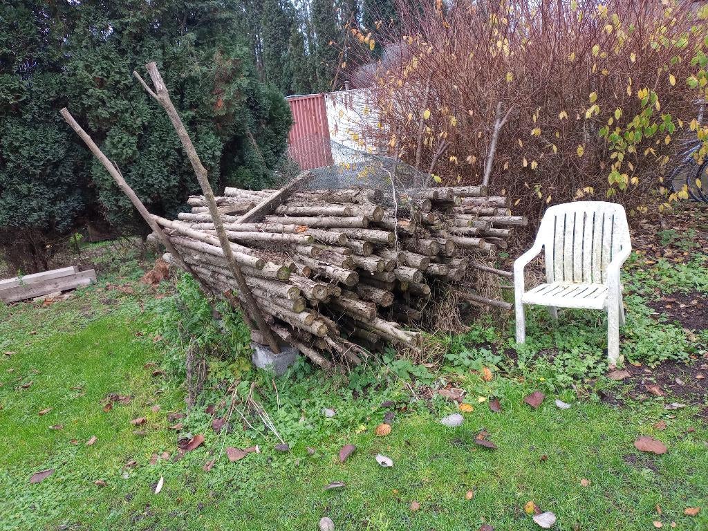 Piquet/tronc de thuyas, Ophalen