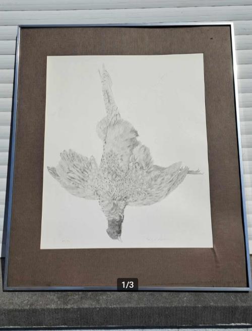 Lithographie oiseaux mort signe paul georges klein, Antiquités & Art, Enlèvement ou Envoi