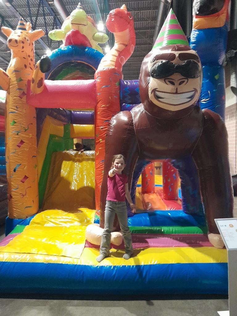 Feestbeest springkasteel te huur, Enlèvement