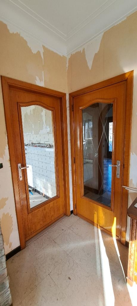 Deuren uit te breken wegens afbraak woning, Doe-het-zelf en Bouw, Ophalen, 80 tot 100 cm, Garagedeur, Zo goed als nieuw