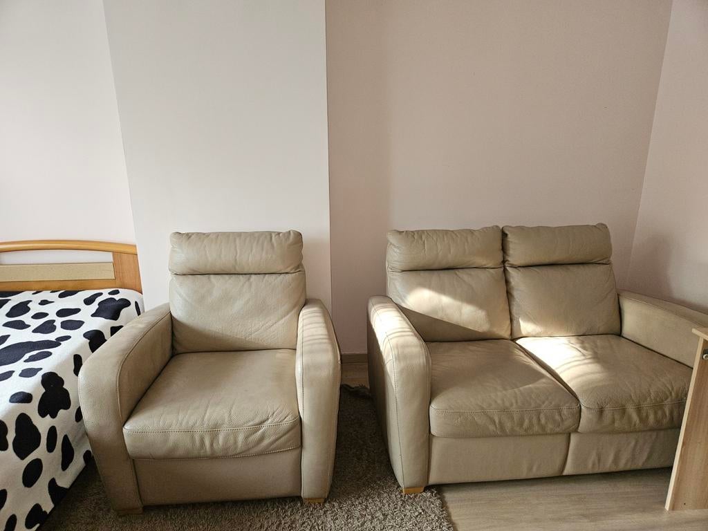 Fauteuil en cuir + canapé 2 personnes, Enlèvement