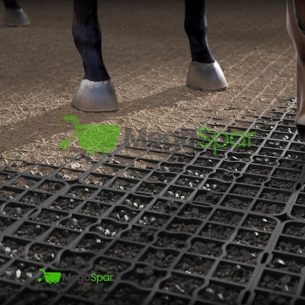 ReitPRO Paddockplaten & Grastegels - Duurzame Paardenmatten, Weidegang