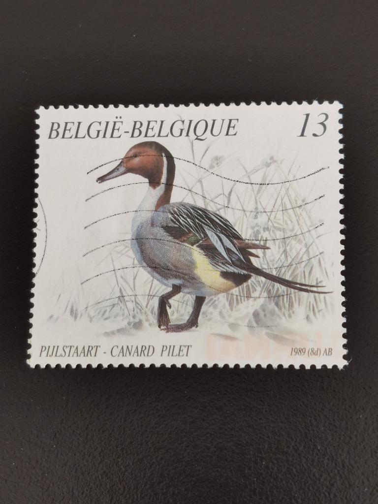 Belgie 1989 - vogels - eenden - pijlstaarteend (uit boekje), Ophalen of Verzenden, Gestempeld, Overig