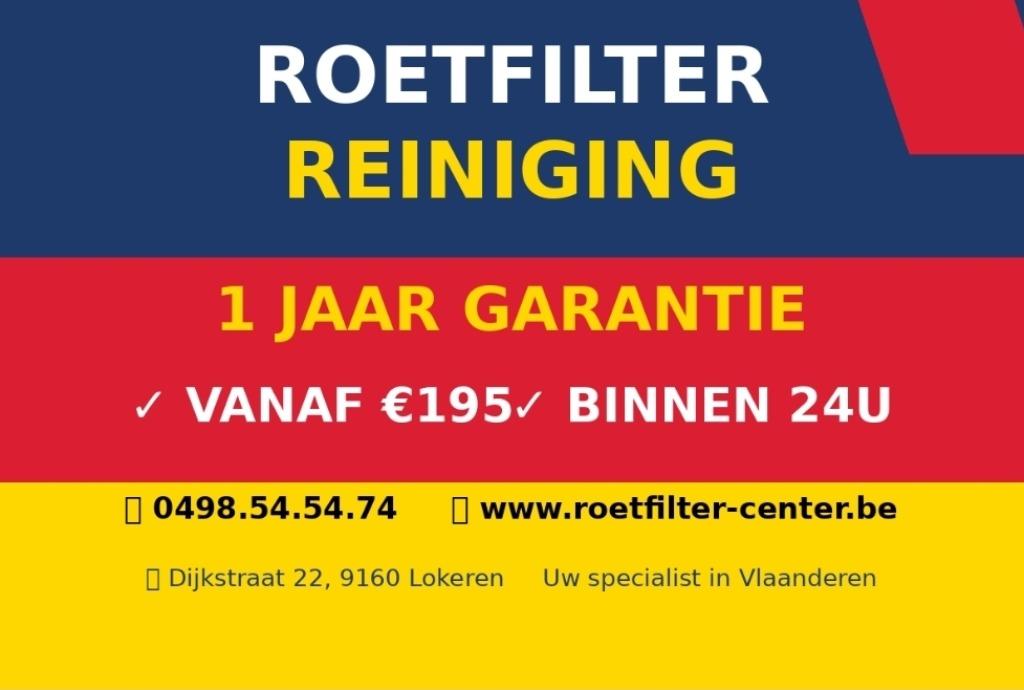 Roetfilter reiniging en Revisie/1 jaar garantie - 24u klaar, Euro 5, Achat, Entreprise, Diesel