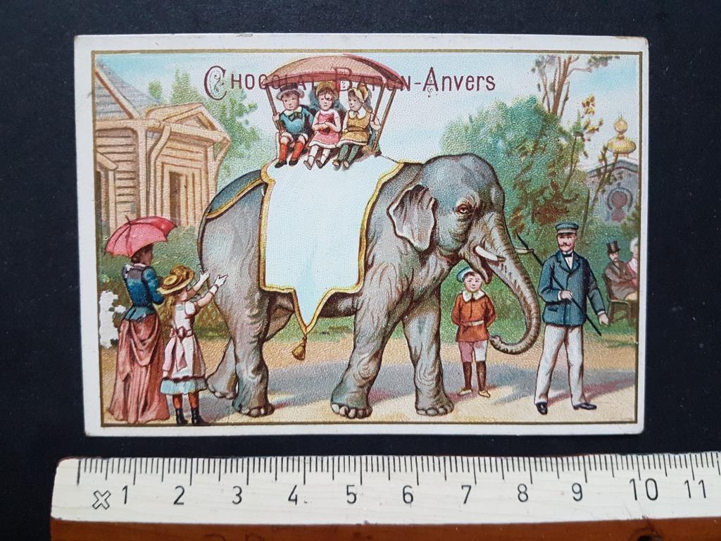 Chromo Chocolat Baron Anvers Antwerpen ZOO Olifant, Verzamelen, Foto's en Prenten, Zo goed als nieuw, Prent, Dier, Voor 1940, Ophalen of Verzenden
