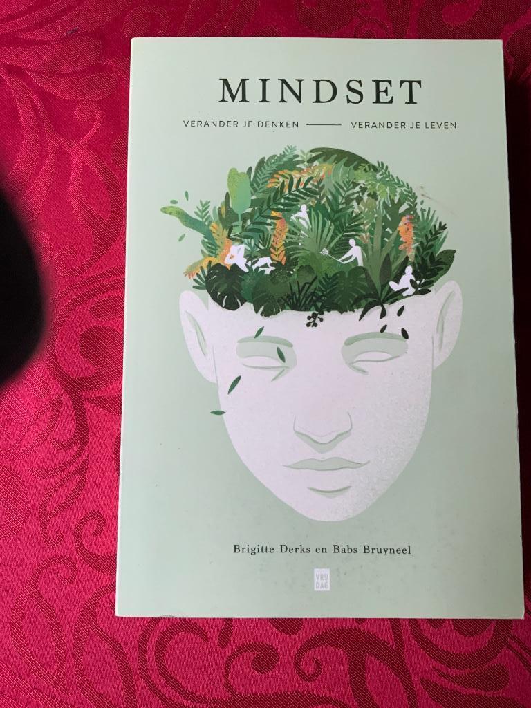 Mindset, Boeken, Derks en Bruyneel, Ophalen of Verzenden, Persoonlijkheidsleer, Nieuw