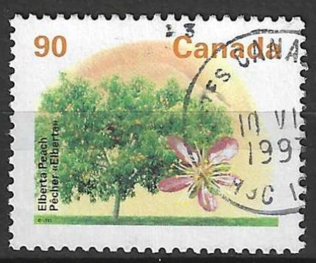Canada 1995 - Yvert 1421 - Flora - Fruitbomen (ST), Ophalen of Verzenden, Gestempeld