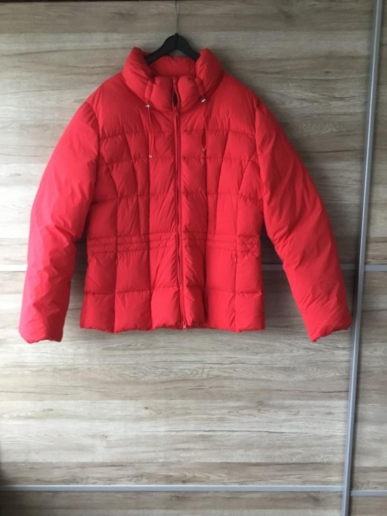 Doudoune courte pour femme, Enlèvement ou Envoi, Betty Barclay, Porté, Taille 42/44 (L)