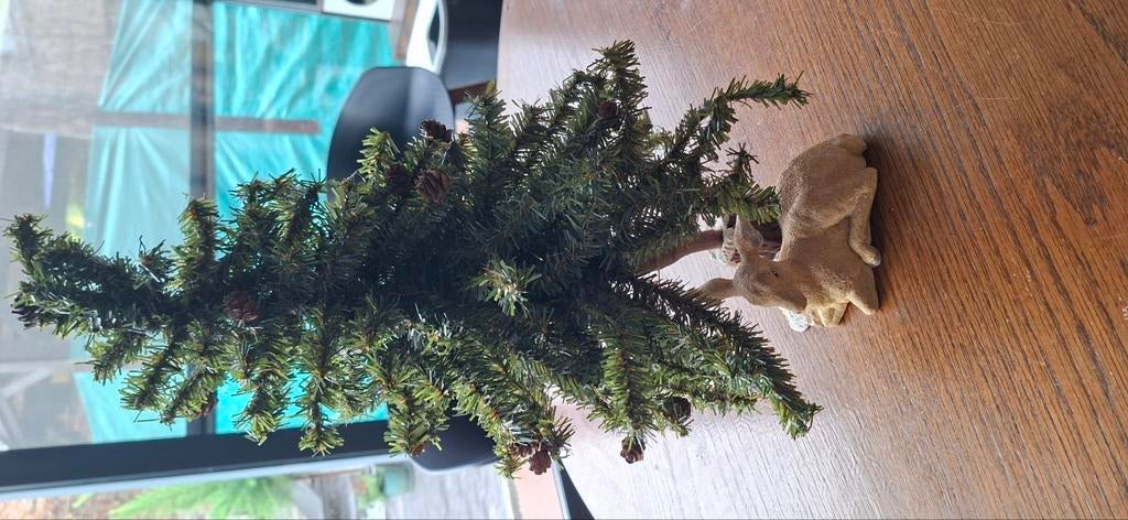 Kerstboompje, Ophalen