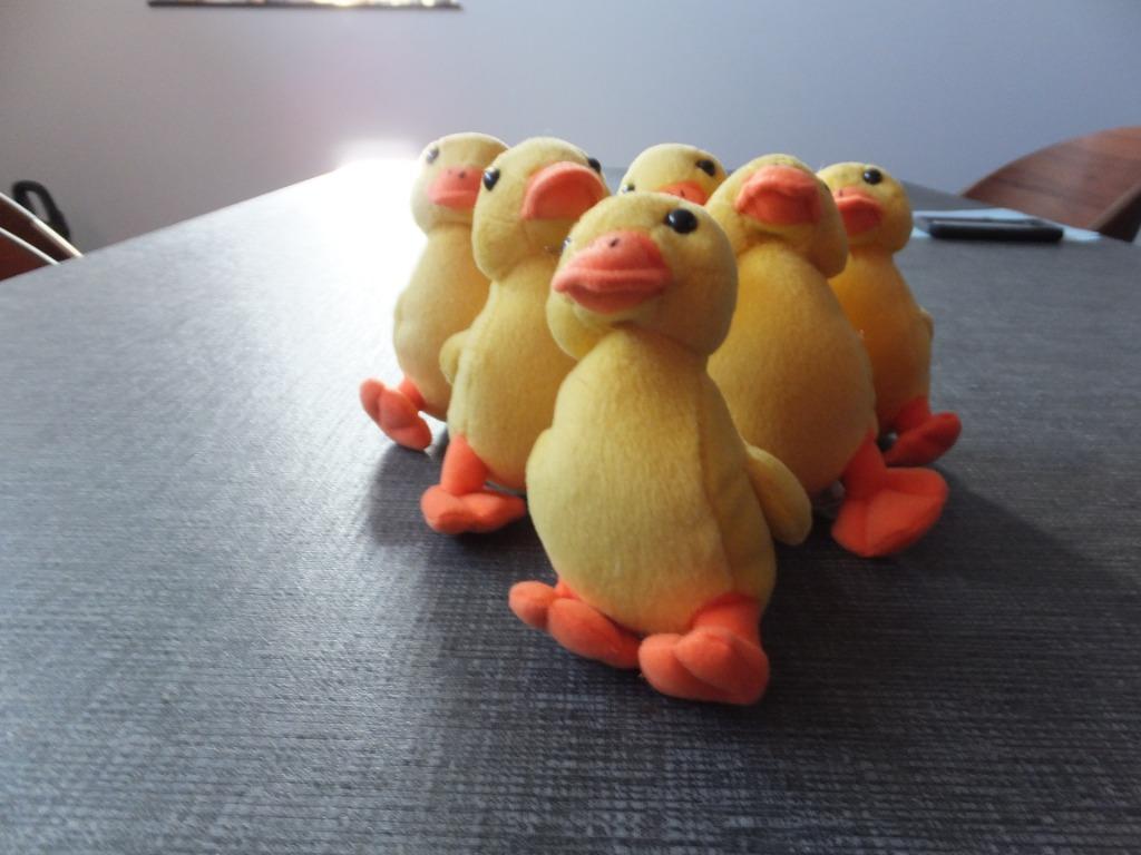 pluche eendjes met piepgeluid, nieuw! 29st, (24cm op 7 cm), Ophalen, Nieuw, Eend