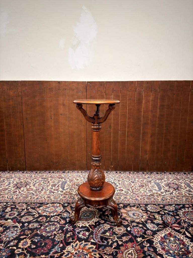 Klassiek Engelse Pied De Stalle Plantenstandaard, Ophalen