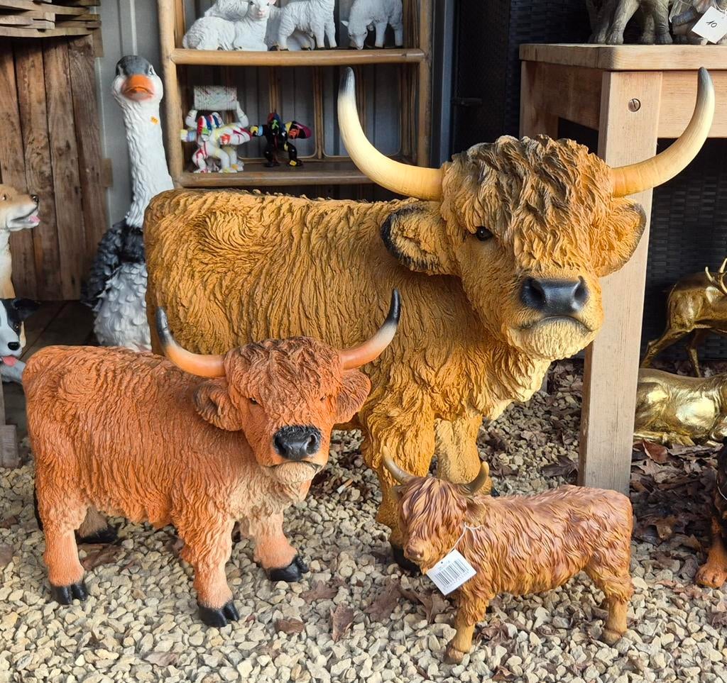 Polyester hooglanders , 3 modellen, Tuin en Terras, Ophalen, Nieuw, Kunststof, Dierenbeeld