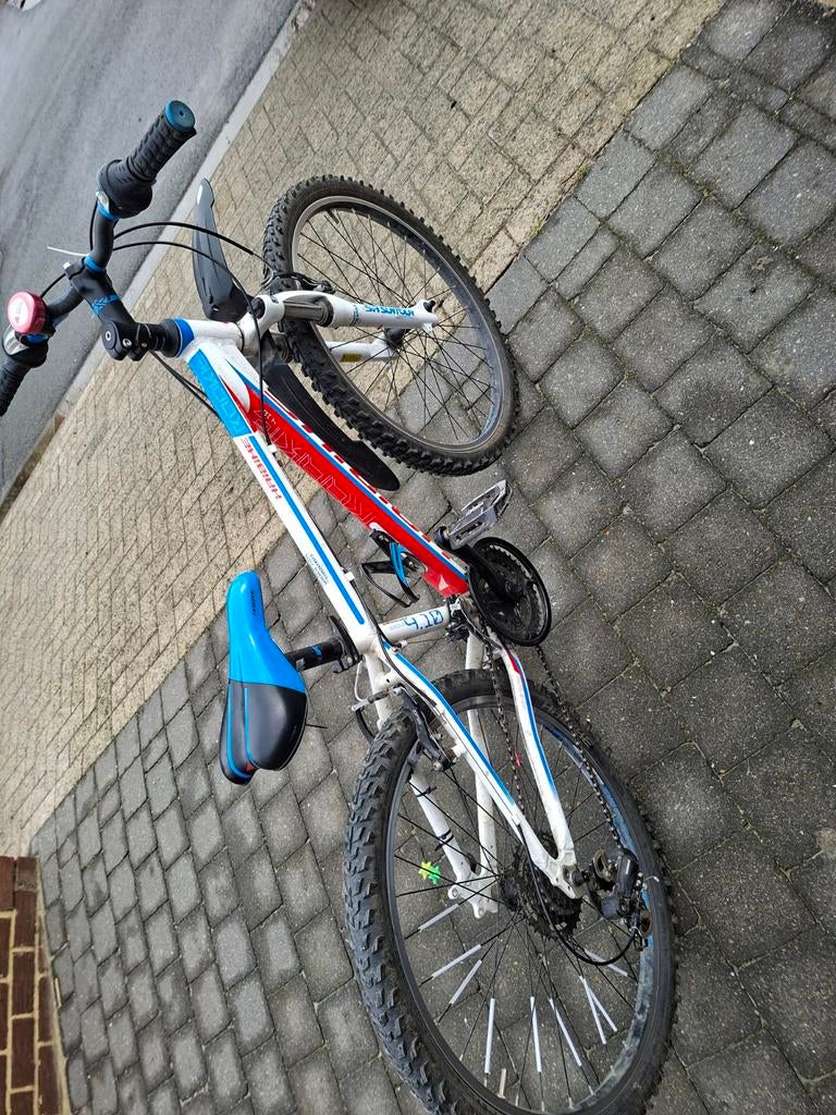 Haibike Rookie 4.10 20 inch mountainbike, Ophalen, Gebruikt, 20 tot 24 inch, Aluminium