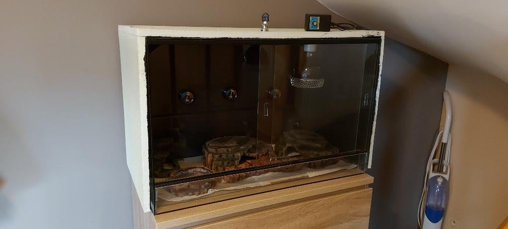 TERRARIUM, Ophalen, Gebruikt, Terrarium of Paludarium