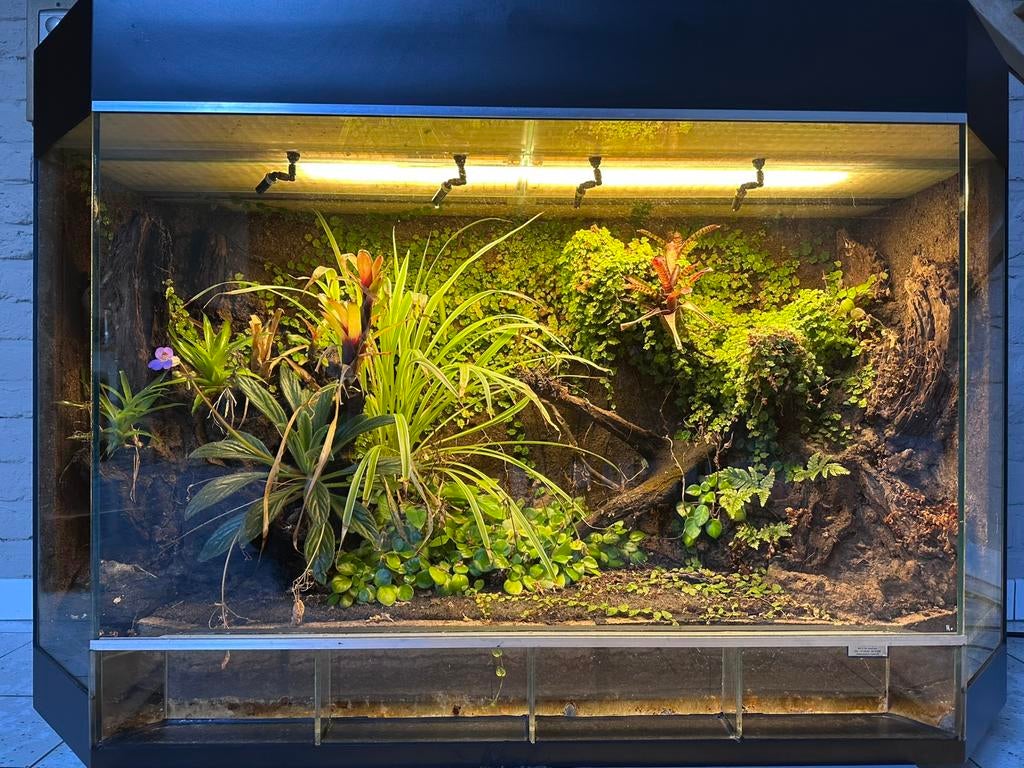 TERRARIUM sur mesure (120x50x80cm), Enlèvement, Utilisé, Éclairage