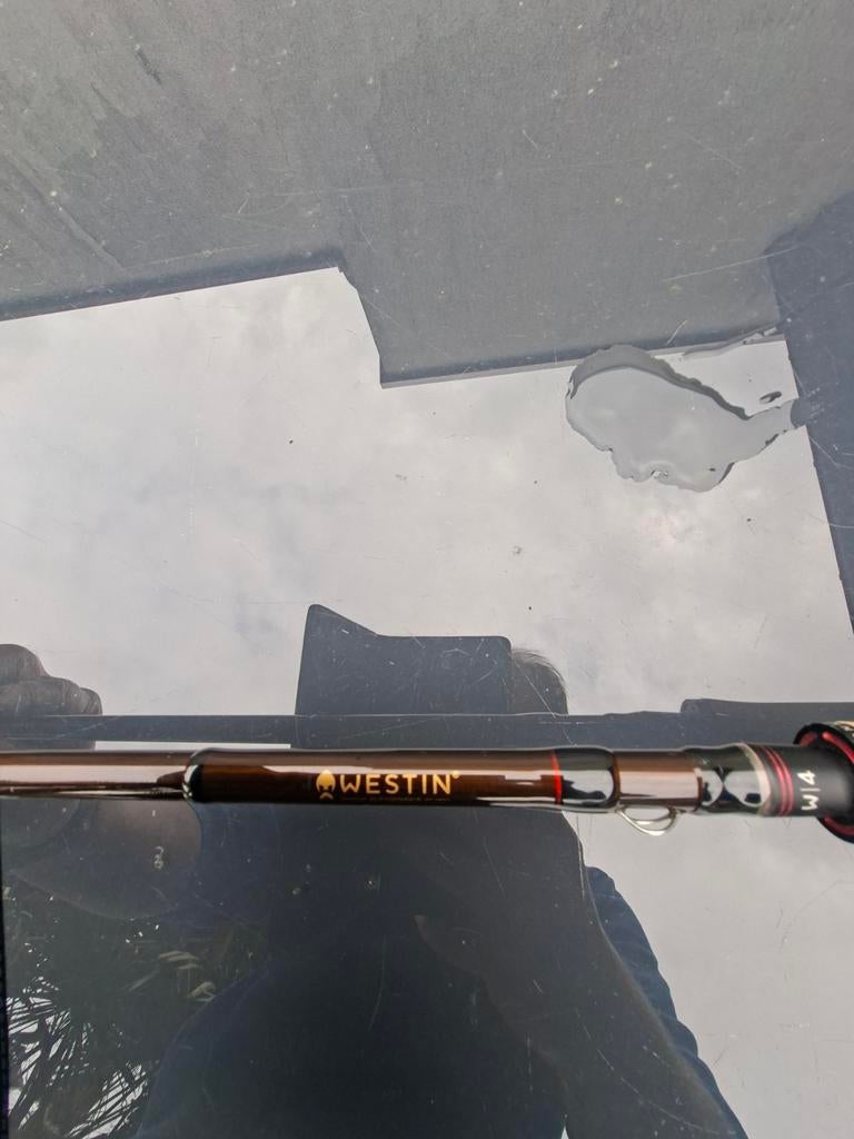 Westin W4 powercast, Watersport en Boten, Hengelsport | Roofvissen, Ophalen