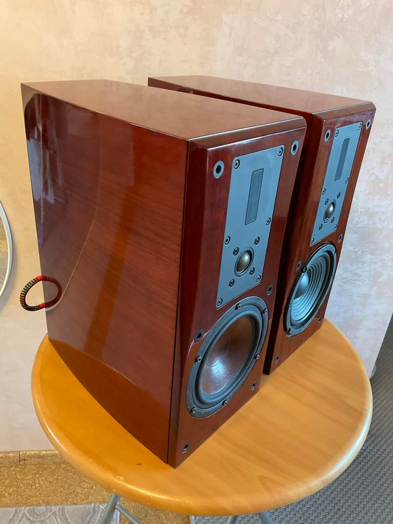 DALI Helicon 300 MK1 High-End luidsprekers ( Rosewood ), Audio, Tv en Foto, Luidsprekerboxen, Ophalen of Verzenden, Gebruikt, Front, Rear of Stereo speakers
