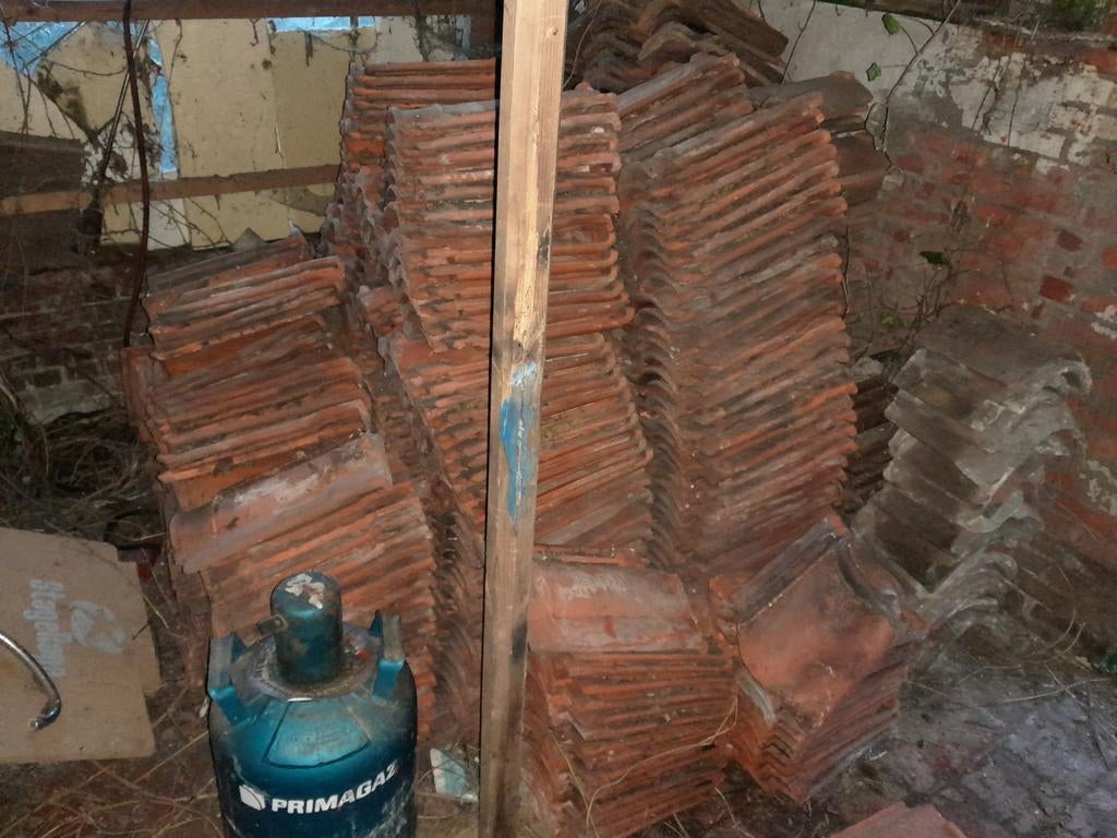 Dakpannen sterreberg courtrai, Ophalen