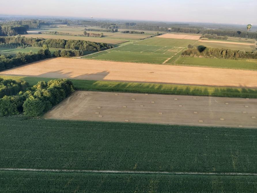 Gezocht landbouwgrond, Enlèvement