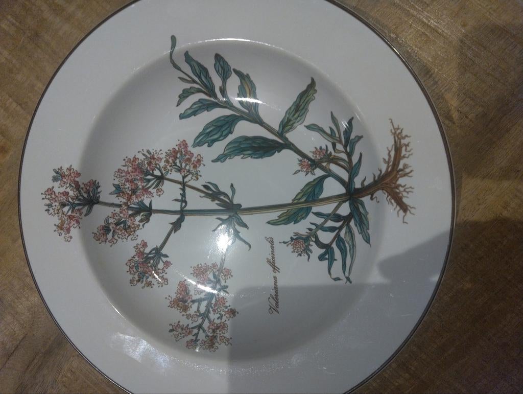 Villeroy et Boch Botanica, Enlèvement ou Envoi, Assiettes(s)