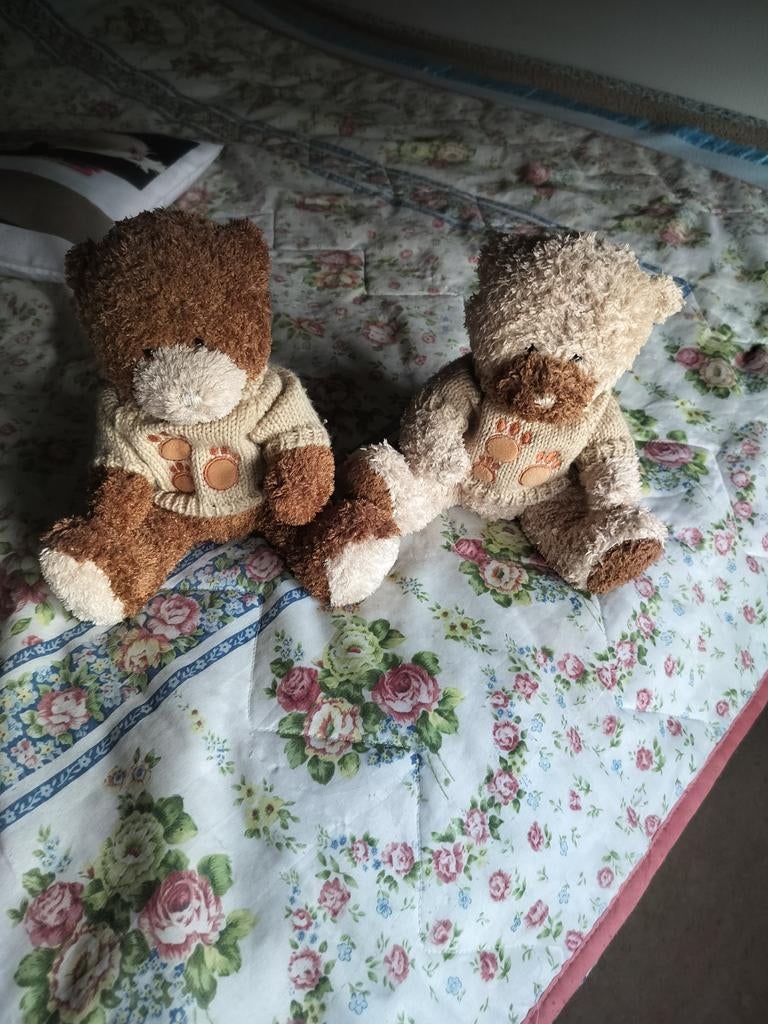 Koppel teddyberen, Ophalen of Verzenden