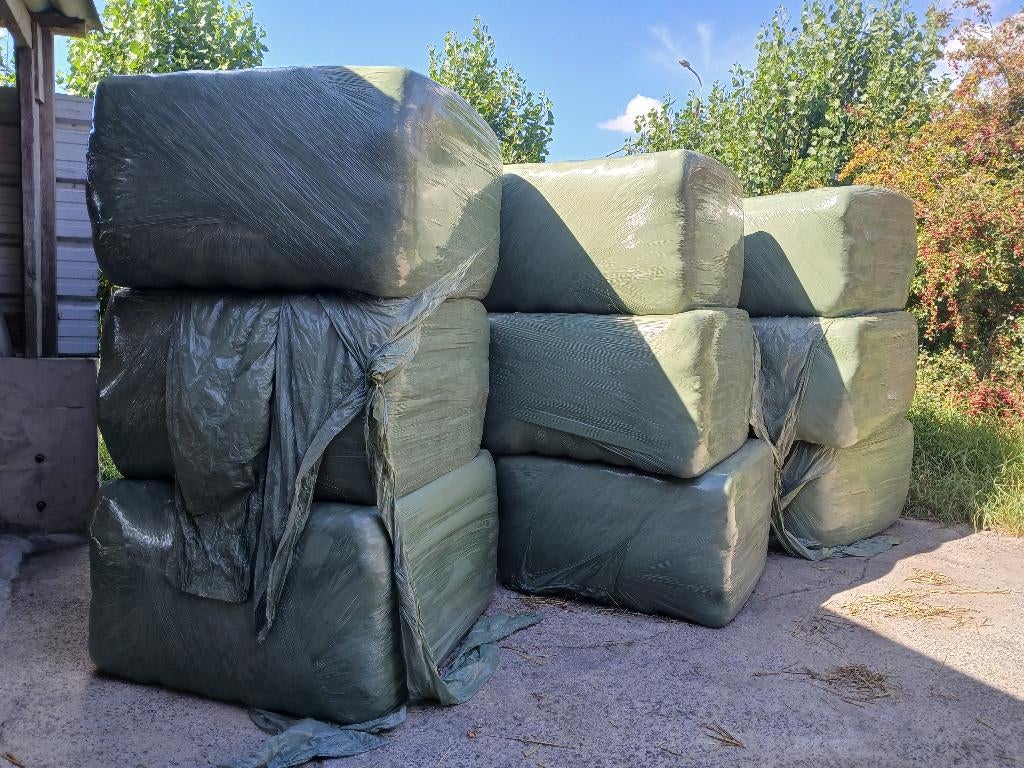 Hooi weidegras, Enlèvement, Autres espèces