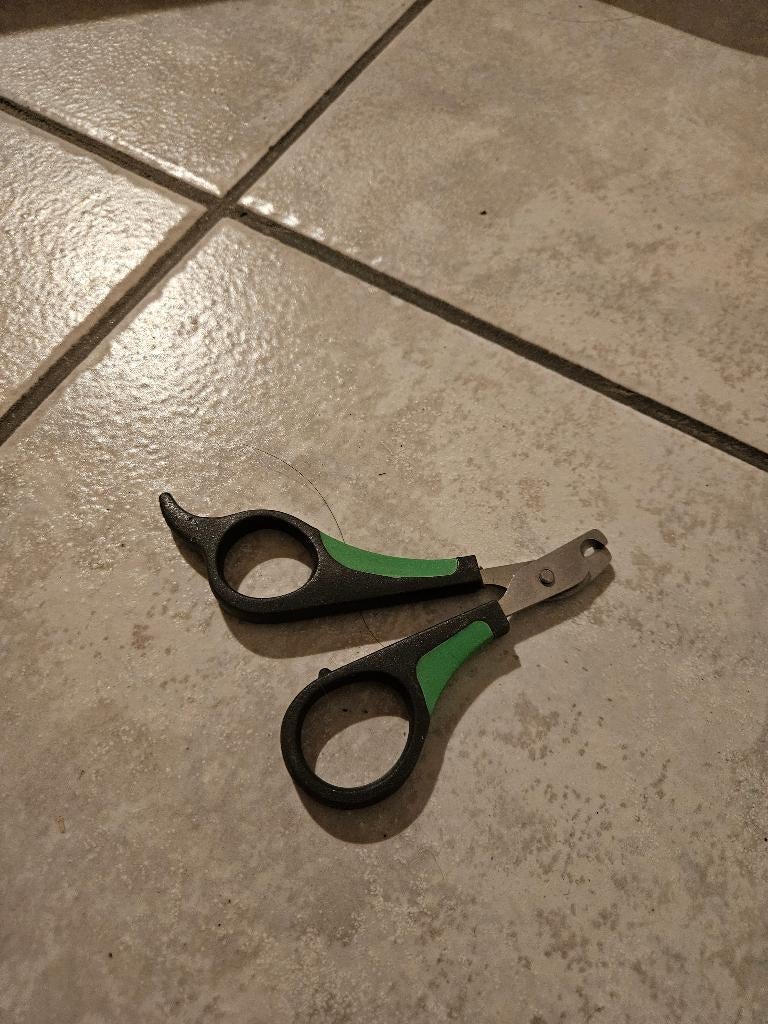 Coupe-ongles pour lapin, Animaux & Accessoires