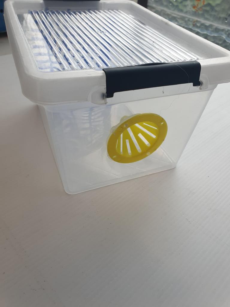 Sélectif pour le frelon asiatique, Animaux & Accessoires, Enlèvement, Neuf