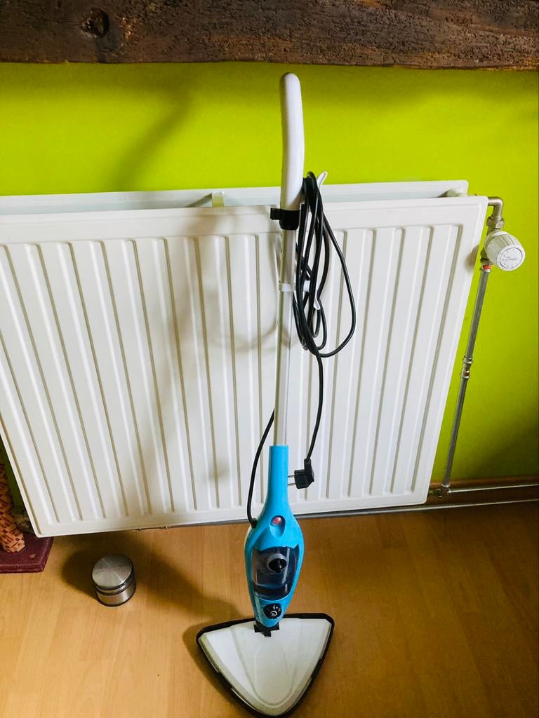 Stoomreiniger, Huis en Inrichting, Ophalen