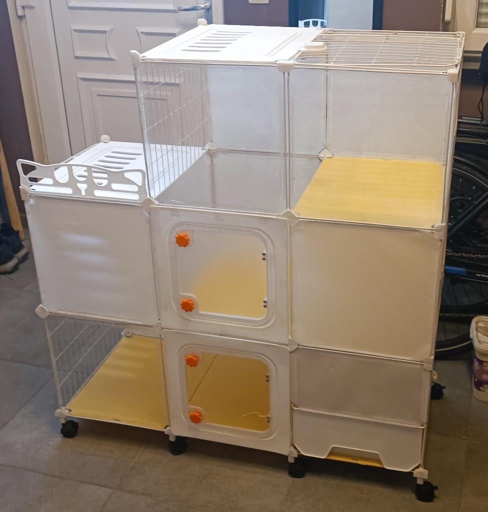 Cages pour chats, Enlèvement, Utilisé