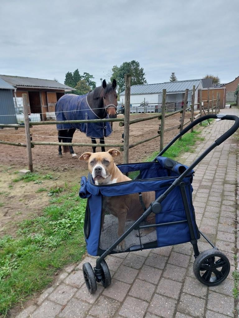 hondenbuggy, Dieren en Toebehoren, Ophalen